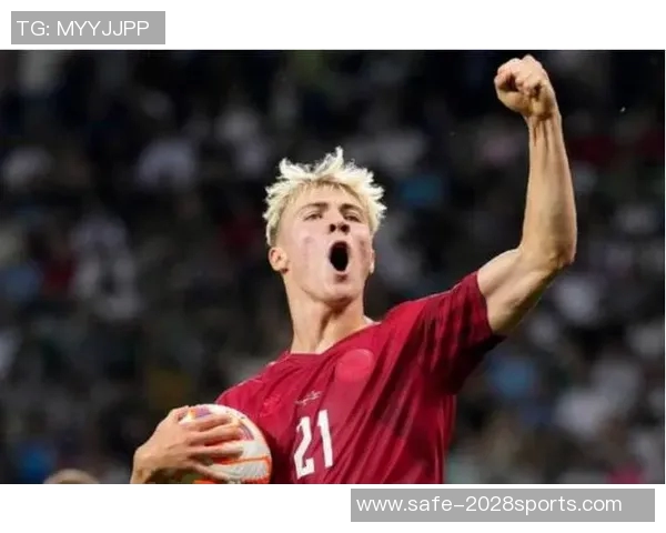 霍伊伦的传奇人生与时代变迁的深刻影响探索